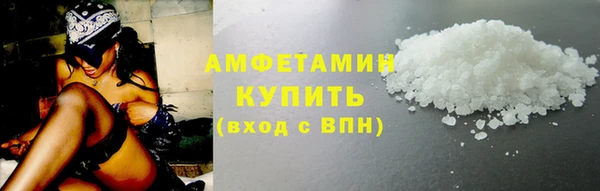 индика Богородск